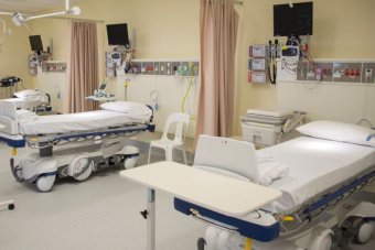 ADJOURNMENT – National Stroke Audit – Northern Tasmania