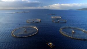 Noting – Salmon Tasmania and Deloitte Access Economics Report