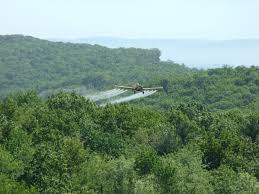 Aerial Spraying – Forestry Areas