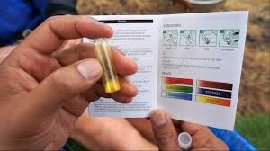 Pill Testing – Tasmanian Festivals and Events