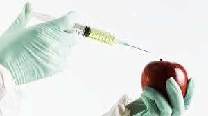 GENETICALLY MODIFIED ORGANISMS CONTROL AMENDMENT BILL 2019