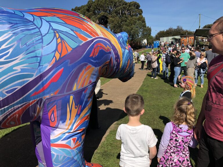 Special Interest Matters – Tulip Festival, Wonders of Wynyard, The Unconformity