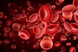World Haemochromatosis Week