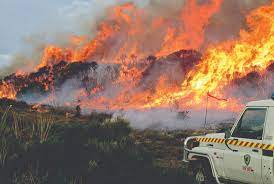 Independent MLCs Ruth Forrest and Mike Gaffney United Firefighters Union’s funding calls