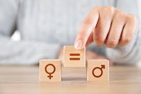 MOTION – Report of the Joint Sessional Committee on Gender and Equality Inquiry on Experiences of Gendered Bias in Healthcare in Tasmania – Consideration and Noting