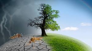 CLIMATE CHANGE (STATE ACTION) AMENDMENT BILL 2021