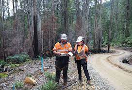 King Island – Forest Practices Officers