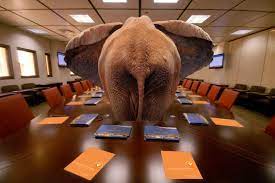 The elephant in the room