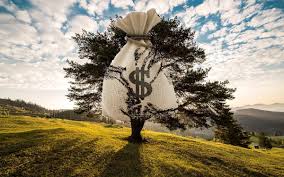 There is no magic money tree and Liberals and Labor refuse to come clean with voters