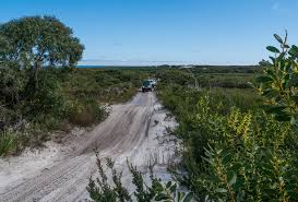 Tracks in the Arthur-Pieman Conservation Area – Capital Investment Expenditure