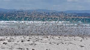 VALIDATION (STATE COASTAL POLICY) BILL 2024