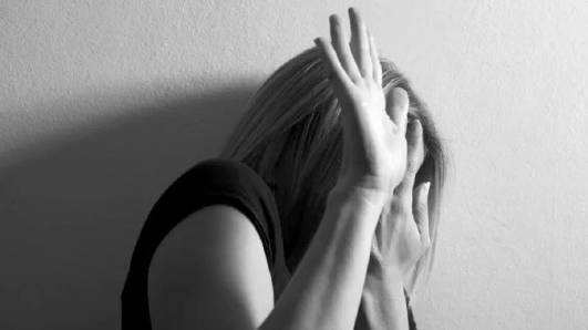 MOTION – Teen Domestic Violence – Noting Research Brief by Dr Carmel Hobbs