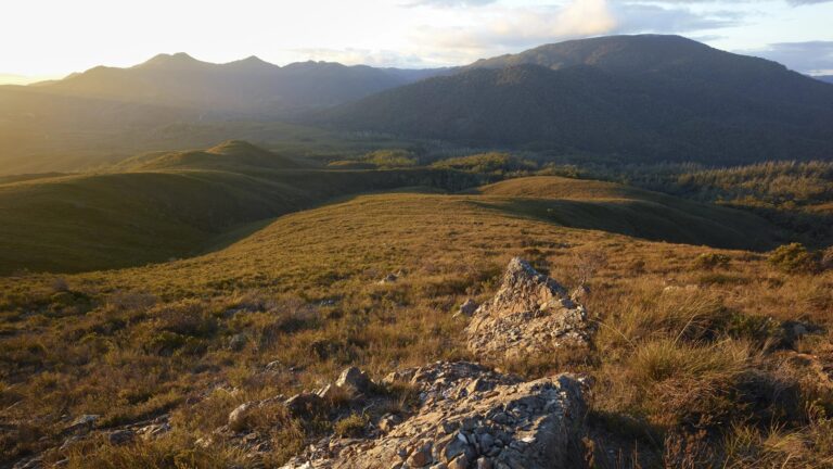 Fuel reduction burns at Whaleback Ridge
