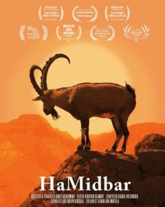 SPECIAL INTEREST MATTERS – Filmmaker Kirsten Slemint