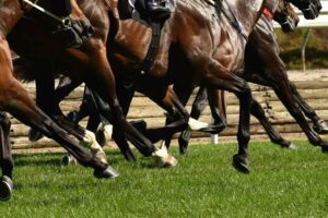 Question on Notice – King Island Racing