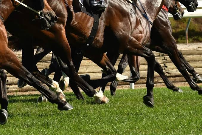 Question on Notice – King Island Racing