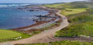 Question Without Notice – Bass Strait Islands Transport Strategy